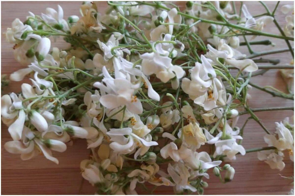 Drumstick Flower & Resin